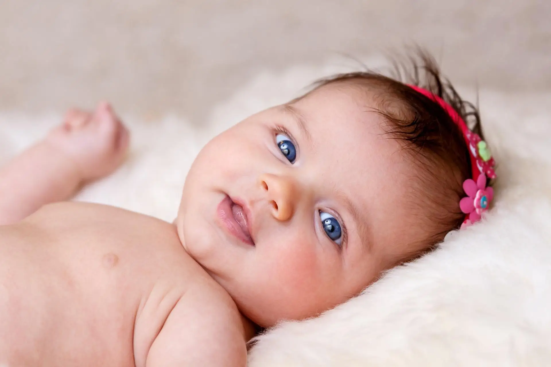 babykalender